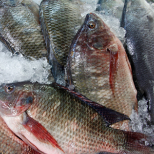 Whole Fish